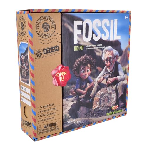 KandyToys Fossil Dig Kit | Science Kit von KandyToys