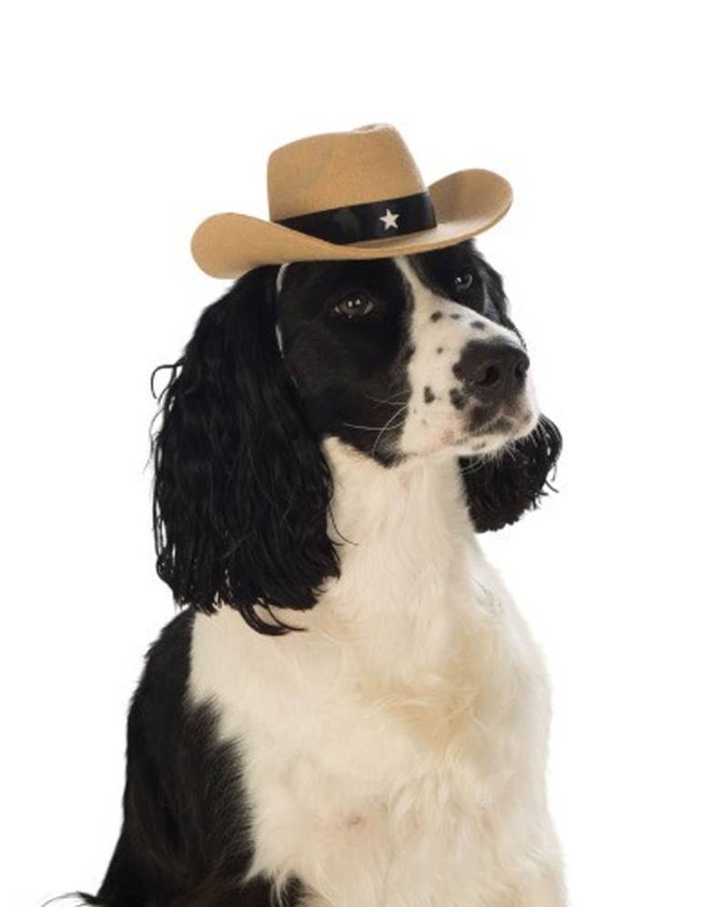 Cowboy-Hut für Hunde & Katzen  Tier Kostüm-Accessoires online kaufen M/L von Karneval Universe