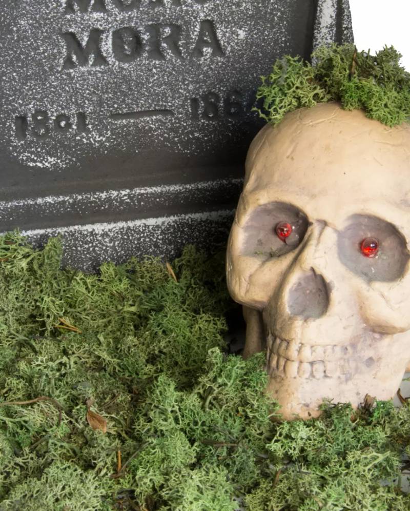 Halloween Deko Moos 120 g Halloween Deko Moos 120 g