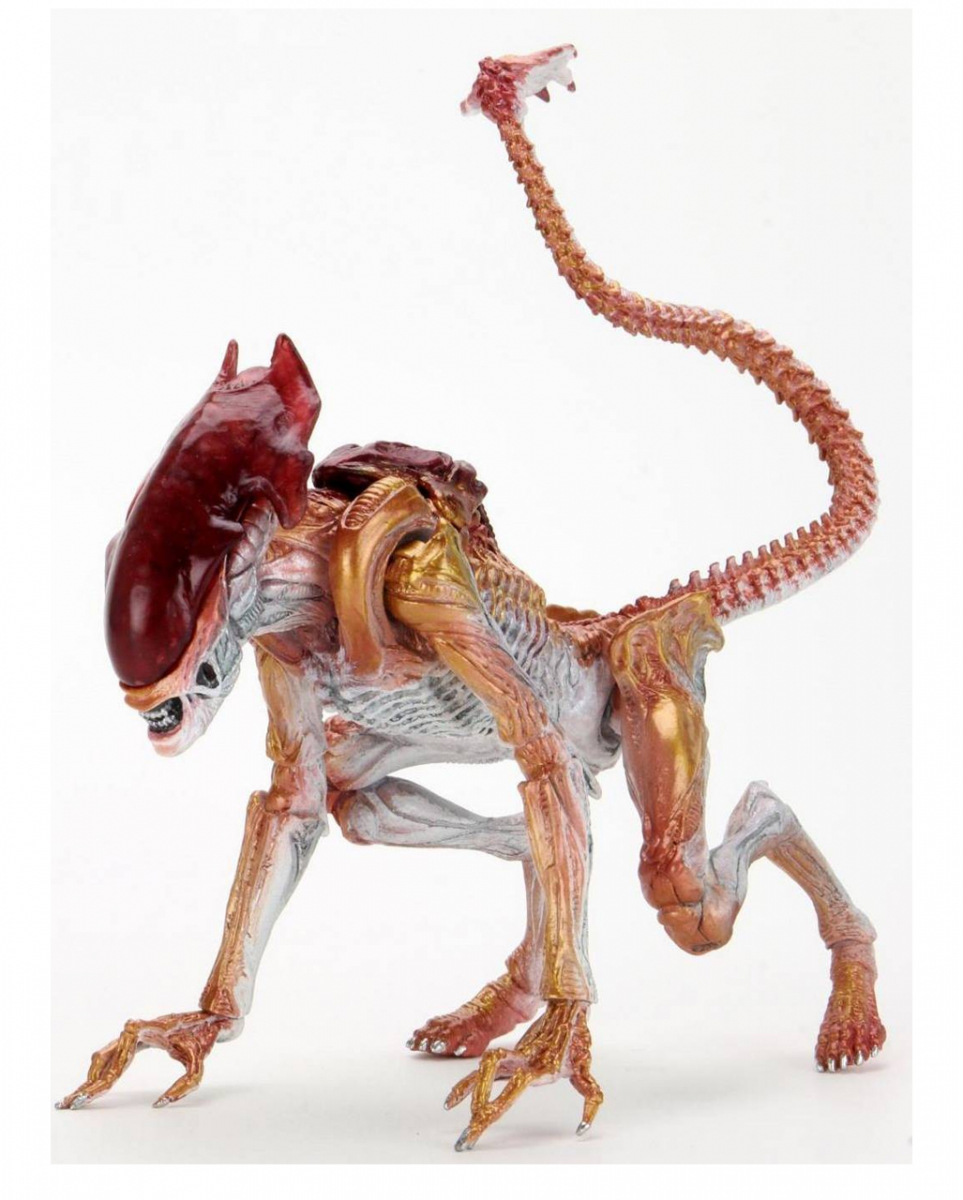 Kenner Tribute Panther Alien Action Figur 22cm ➔ von Karneval Universe