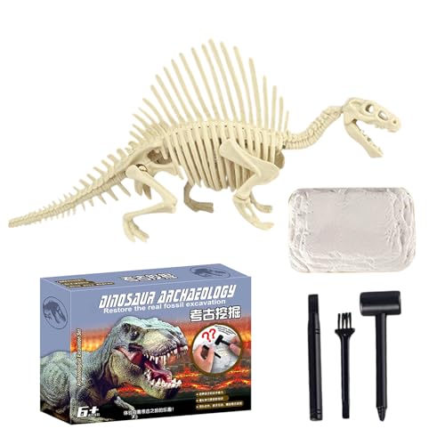 Ausgrabungsset | Dinosaurier Skelett Modell Freilegen | Naturwissenschaftliches Lernspielzeug Für 4-6 Jahre Kinder Geburtstag Klassenzimmer Aktivitäten Ausgrabungsset | Dinosaurier Skelett Modell Freilegen | Naturwissenschaftliches Lernspielzeug Für 4-6 Jahre Kinder Geburtstag Klassenzimmer Aktivitäten von Kasmole