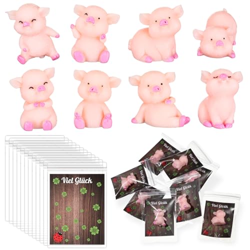 Kasyat 16 Sets Mini Geschenke Rosa Glücksschweinchen inklusive 16 Mini Schwein Glücksbringer Harz Schwein Miniatur Schweinchen 16 Glück Karten 16 Transparente Beutel Rosa Glücksschweinchen Geschenk von Kasyat