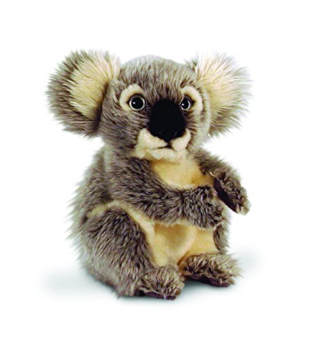 Keel Toys 20 cm Koala von Keel Toys