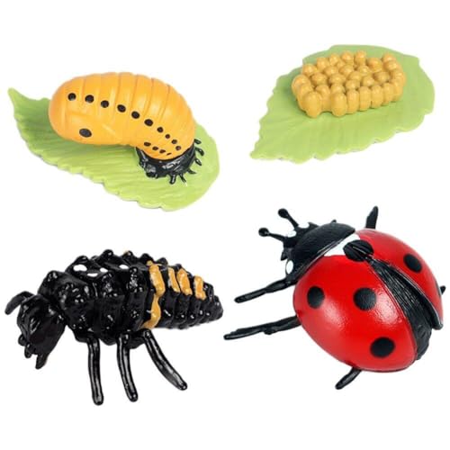 Insekten-lebenszyklus-Figuren Von Marienkäfer, 4-teiliges Set, Tierwachstumszyklus-Set, Insekten-Bildung, Wachstumsstadium, Modell, Requisiten, Lernwerkzeuge von Keuyeo
