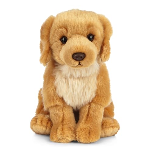 Living Nature Golden Retriever Kuscheltier, realistischer, Flauschiger Plüschhund für Babys, Jungs, Mädchen und Erwachsene, nachhaltiges Stofftier für Kinder, Geschenke zur Geburt, 20 cm von Keycraft