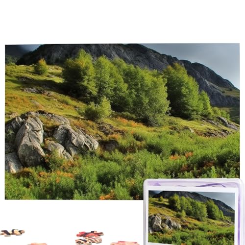 Berg Vegetation Puzzles 1000 Teile Personalisierte Puzzles Fotos Puzzle für Familie Bilderpuzzle für Erwachsene Hochzeit Geburtstag (74,9 x 50 cm) von Khiry