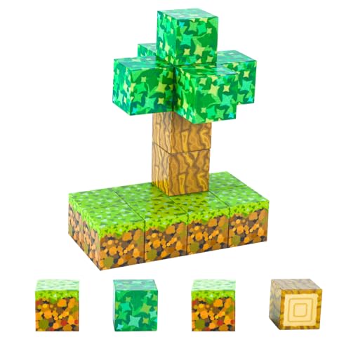 Kid Odyssey Magnetische Bausteine, Build Mine Magnete Welt World Set, Magnetbausteine Magnetisches Spielzeug für Kinder, Geschenk für Kinder (16 Stück) von Kid Odyssey