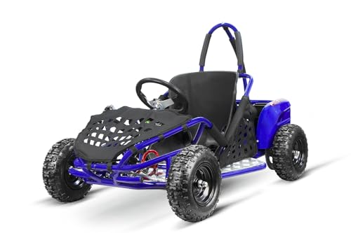 1000W Eco Buggy GoKid 6 Zoll 48V Offroad Kinderbuggy GOKART, Farbe:Blau von Kidcars