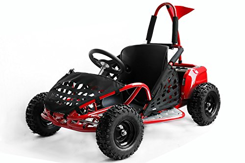 1000W Eco Buggy GoKid 6 Zoll 48V Offroad Kinderbuggy GOKART, Farbe:Rot von Kidcars