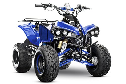 Kinder Elektroquad Warrior Eco midi Quad 1000W 48V ATV Kinderquad, Farbe:Blau von Kidcars