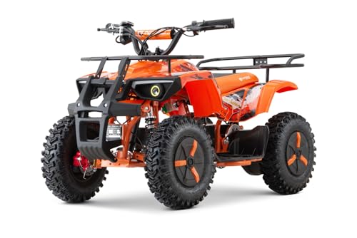 Nitro Motors 1000W Eco Mini Kinder Quad Dusty Snowy-Profile L Sport 6', Farbe:Orange von Kidcars