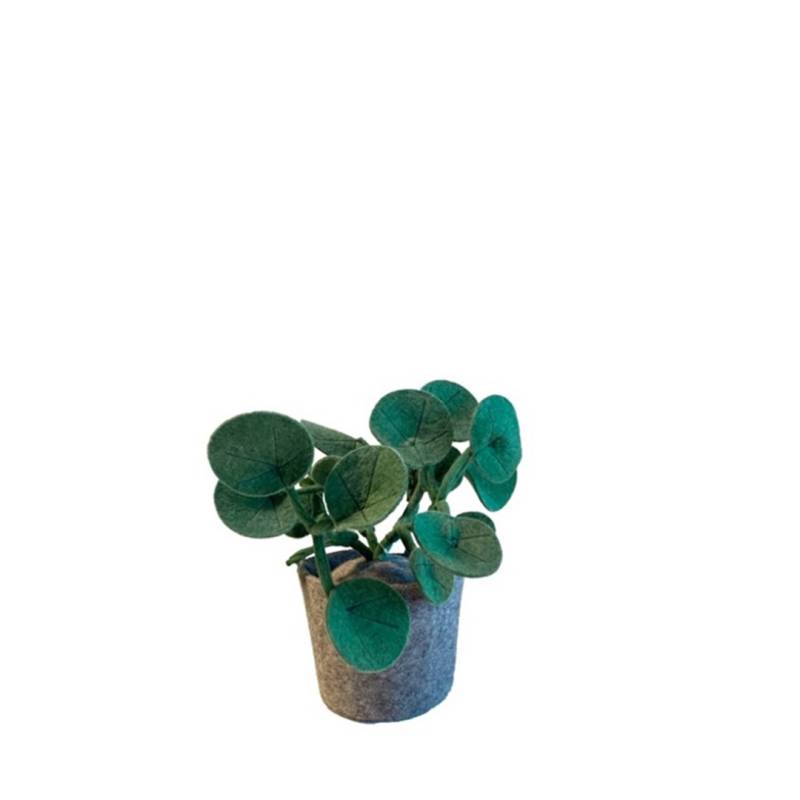 KidsDepot Plant von KidsDepot