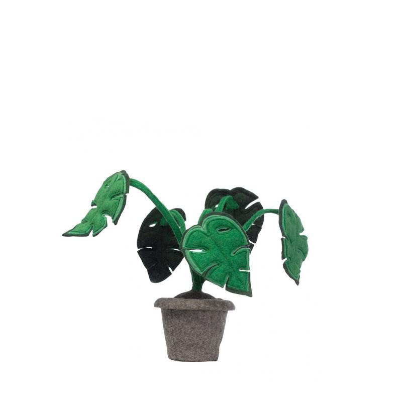 KidsDepot Plant von KidsDepot