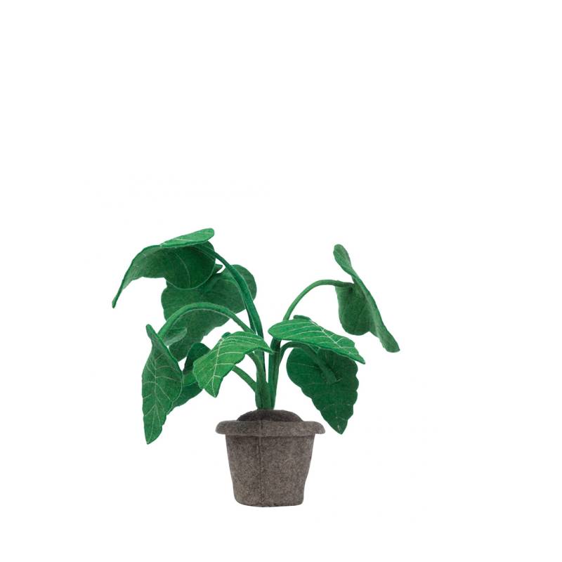 KidsDepot Plant von KidsDepot