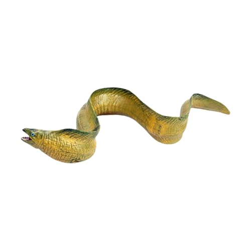 KieTeiiK Simulation Marine Animal Aal Model Figurine Spielzeug Sichere Abs Plastik Figur Für Bildungsanzeige Wissenschaftliches Lernen Marine Fischmodell Figur KieTeiiK Simulation Marine Animal Aal Model Figurine Spielzeug Sichere Abs Plastik Figur Für Bildungsanzeige Wissenschaftliches Lernen Marine Fischmodell Figur von KieTeiiK