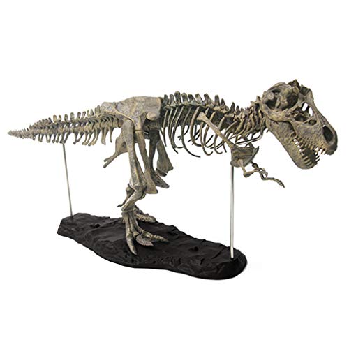 KieTeiiK Toys,27 Zoll Simulation Dinosaurier Skelett Figur PVC Modell Sammler Tyrannosaurus Dino Interaktive Automobil-Heimdekoration von KieTeiiK