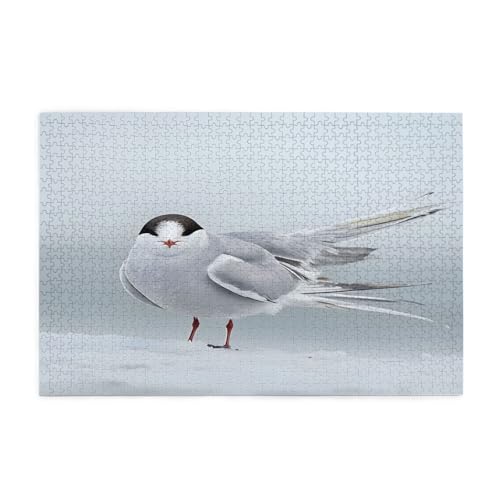 Arctic Tern Puzzles1000 Teile pädagogische intellektuelle Holzpuzzles, lustige Puzzles, Stressabbau-Puzzles, 75 x 50 cm (L x B) von Kingww