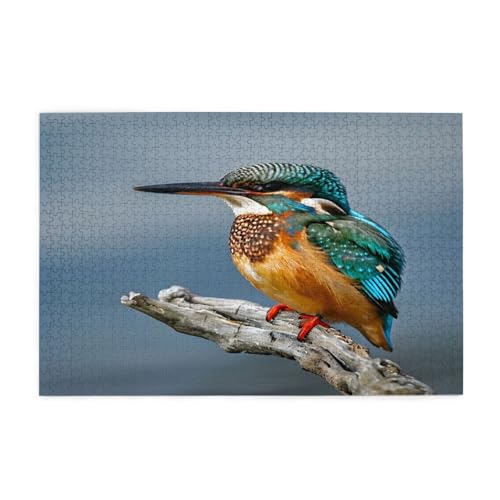 Kingfisher Close-Up Puzzles1000 Teile Pädagogische Intellektuelle Holzpuzzles, lustige Puzzles, Stressabbau-Puzzles, 75 x 50 cm (L x B) von Kingww