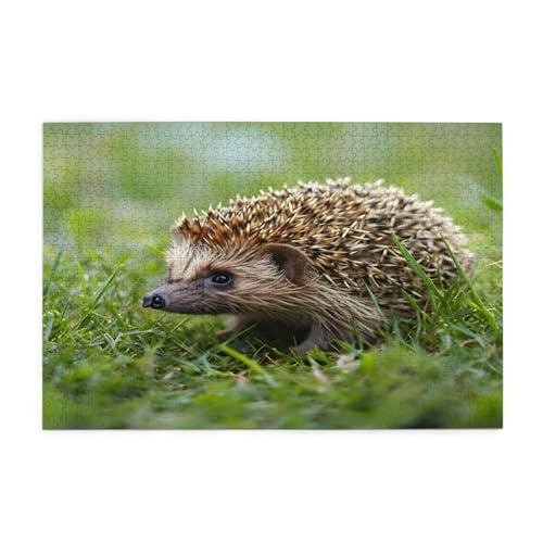 Puzzle Igel im Gras, 1000 Teile, pädagogische, intellektuelle Holzpuzzles, lustige Puzzles, Stressabbau-Puzzles, 75 x 50 cm (L x B) von Kingww