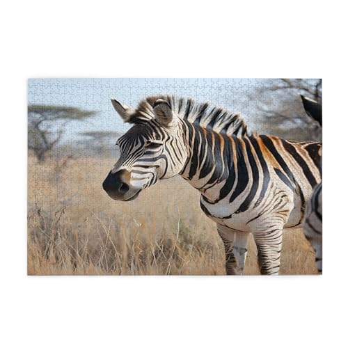 Zebra im Gras Puzzles, 1000 Teile, pädagogische, intellektuelle Holzpuzzles, lustige Puzzles, Stressabbau-Puzzles, 75 x 50 cm (L x B) von Kingww