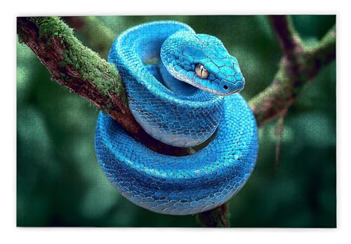 Puzzle 3000 Teile Erwachsene, Schlange Puzzle 3000 Teile mit Geschenkbox, Holzpuzzle Erwachsene mit Naturholz, Geschenke für Frauen, Geschenke für Männer, Groß Holzpuzzle für Wanddeko Wohnzimmer, O-15 Puzzle 3000 Teile Erwachsene, Schlange Puzzle 3000 Teile mit Geschenkbox, Holzpuzzle Erwachsene mit Naturholz, Geschenke für Frauen, Geschenke für Männer, Groß Holzpuzzle für Wanddeko Wohnzimmer, O-15 von Kinntn