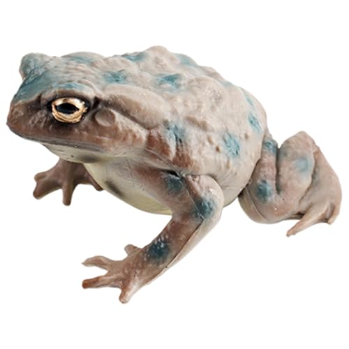 Kioriur Kröten-Spielzeugfigur, Frosch-Spielzeug für Kinder,Ochsenfrosch Figur Modell PVC Froschfiguren - Miniatur-Sammelfiguren, pädagogische Froschstatue, Modelle, Spielzeug für die Schule zu Hause von Kioriur