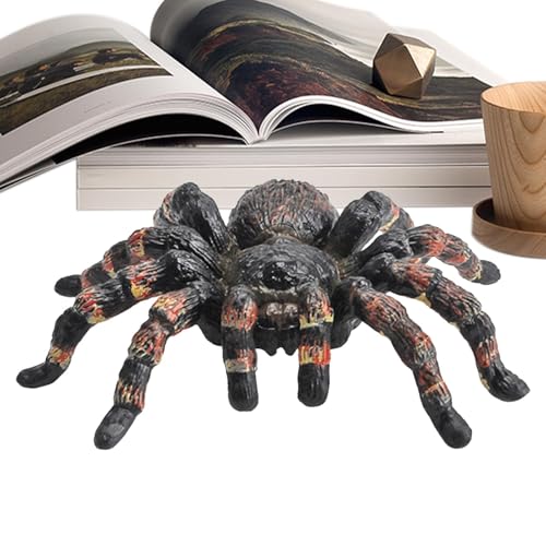 Spinnenmodell, Spinnenfigur - Künstliche Spinne Halloween-Dekoration | Spinnentiermodell, künstliche Spinnen-Halloween-Dekoration, lebendige Spinnen-Spielzeugfiguren, lebendige Streich-Requisiten, päd von Kirdume