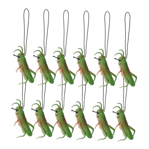 Kisangel 12 Stück Teiliges Realistische Plastik insektenmodelle Pädagogisches für Fördert Naturerfahrung und Neugier Vielseitig als Lernhilfe Dekoration und Partyfüllung Kisangel 12 Stück Teiliges Realistische Plastik insektenmodelle Pädagogisches für Fördert Naturerfahrung und Neugier Vielseitig als Lernhilfe Dekoration und Partyfüllung von Kisangel