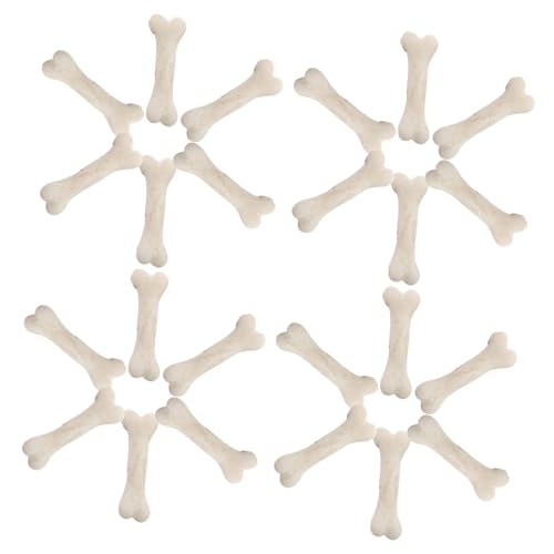 Kisangel 20 Stück Teiliges Mini Knochen Modellset aus Harz Realistische Miniatur Skelettknochen für Halloween Dekoration Spukhaus Deko Sand Terrarien und Bastelprojekte für Cosplay Kisangel 20 Stück Teiliges Mini Knochen Modellset aus Harz Realistische Miniatur Skelettknochen für Halloween Dekoration Spukhaus Deko Sand Terrarien und Bastelprojekte für Cosplay von Kisangel