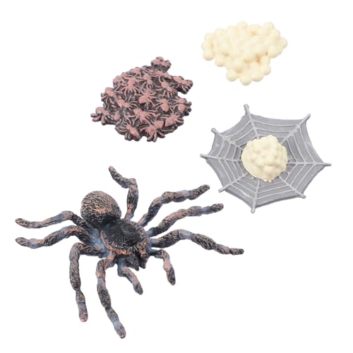 Kisangel Lebensechte Tierfiguren Set aus Kunststoff Pädagogisches für Realistische Wachstumszyklus Modelle Geruchsneutral und Sicher als Foto Requisiten und Lernspielzeug Kisangel Lebensechte Tierfiguren Set aus Kunststoff Pädagogisches für Realistische Wachstumszyklus Modelle Geruchsneutral und Sicher als Foto Requisiten und Lernspielzeug von Kisangel