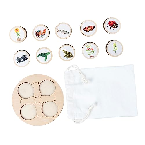 Kisangel Lebenszyklus Holzspielzeug Tierbiologisches Modell mit Ablagebrett Pädagogisches Lernspielzeug für Langlebig Tragbar für Schule und Zuhause Geschenk für Jungen und Mädchen Kisangel Lebenszyklus Holzspielzeug Tierbiologisches Modell mit Ablagebrett Pädagogisches Lernspielzeug für Langlebig Tragbar für Schule und Zuhause Geschenk für Jungen und Mädchen von Kisangel