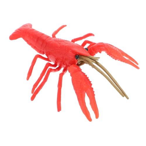 Kisangel Realistisches Hummer Modell aus Kunststoff Detailgetreue Nachbildung als Dekoratives Lernspielzeug für Kreatives Meeres deko Ornament für Schreibtisch und Party Kisangel Realistisches Hummer Modell aus Kunststoff Detailgetreue Nachbildung als Dekoratives Lernspielzeug für Kreatives Meeres deko Ornament für Schreibtisch und Party von Kisangel