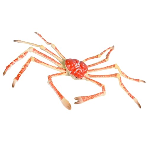 Kisangel Realistisches Krabbenmodell Lernspielzeug Frühpädagogisches Umweltbewusstsein Handliche Tierfigur für Meereslebewesen Fans Kisangel Realistisches Krabbenmodell Lernspielzeug Frühpädagogisches Umweltbewusstsein Handliche Tierfigur für Meereslebewesen Fans von Kisangel