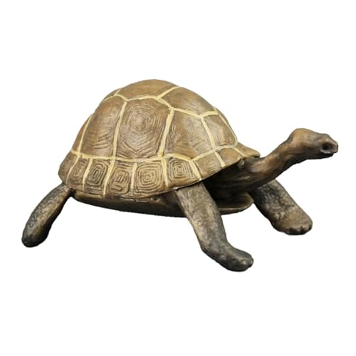 Kisangel Realistisches Plastikschildkrötenmodell Lernspielzeug Themen Deko Figur für Schule und Party Kisangel Realistisches Plastikschildkrötenmodell Lernspielzeug Themen Deko Figur für Schule und Party von Kisangel
