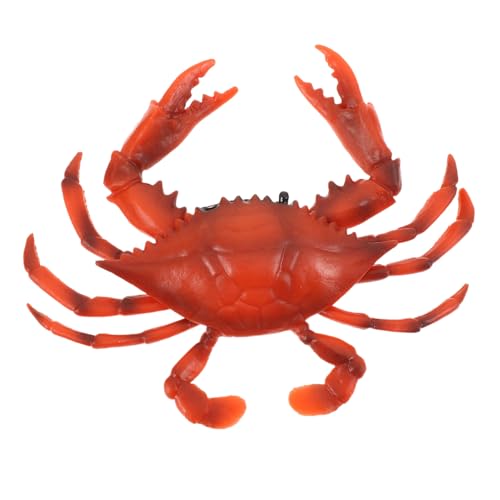 Kisangel Realistisches Teiliges Krabbenmodell Tierfigur Kinderspielzeug Umweltfreundlich Lernspielzeug Wissenschaftliche Dekoration für Kinderzimmer und Stranddeko Kisangel Realistisches Teiliges Krabbenmodell Tierfigur Kinderspielzeug Umweltfreundlich Lernspielzeug Wissenschaftliche Dekoration für Kinderzimmer und Stranddeko von Kisangel