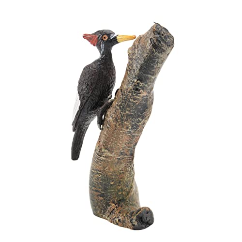 Kisangel Realistisches Vogelmodell für Lebensechte Vogelattrappe aus Hochwertigem Material Pädagogisches Dekorationsspielzeug Fantasie und Tiererkennung Kisangel Realistisches Vogelmodell für Lebensechte Vogelattrappe aus Hochwertigem Material Pädagogisches Dekorationsspielzeug Fantasie und Tiererkennung von Kisangel