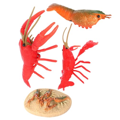 Kisangel Simulation Krebs Modell Lernspielzeug Crayfish Lebenszyklus Figurine Naturwissenschaft Aquarium Tierfiguren Kunststoff Edukativ Kisangel Simulation Krebs Modell Lernspielzeug Crayfish Lebenszyklus Figurine Naturwissenschaft Aquarium Tierfiguren Kunststoff Edukativ von Kisangel