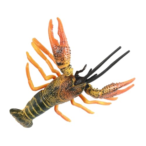 Kisangel Simulation Lobster Modell Kinderspielzeug Realistische Meeresfigur Langlebig Dekoratives Lernspielzeug für Biologischem Interesse und Sicherem Material Kisangel Simulation Lobster Modell Kinderspielzeug Realistische Meeresfigur Langlebig Dekoratives Lernspielzeug für Biologischem Interesse und Sicherem Material von Kisangel