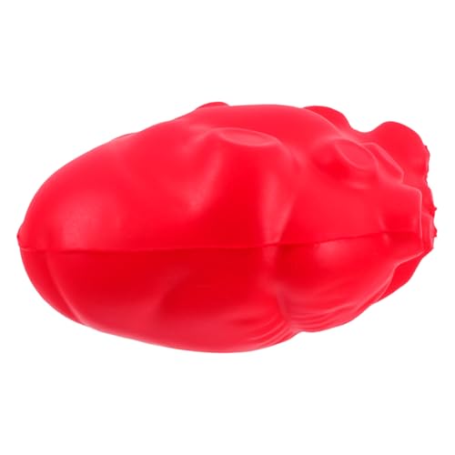 Kisangel Simulationsorganmodell Für Das Unterrichten Von Realistic Heart Toy Human Organ Model Für Unterrichtsdemonstrationen Medizinische Und Naturwissenschaftliche Exponate von Kisangel