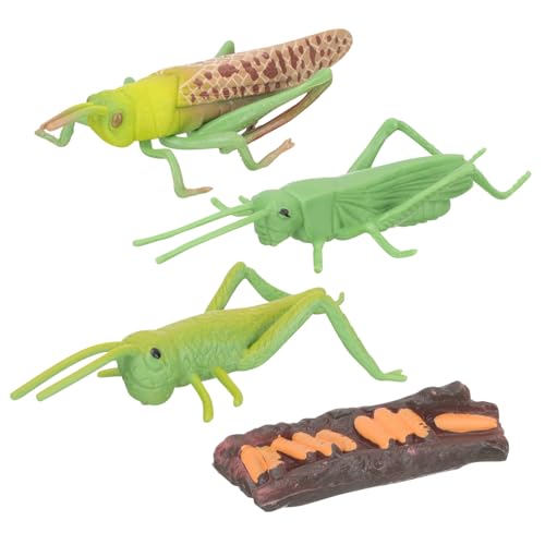 Kisangel Tiermodell Teilig Realistische Lebenszyklusfiguren Schnecke Lernspielzeug Pädagogisch Langlebig für Vorschule und Frühe Tierkunde Kisangel Tiermodell Teilig Realistische Lebenszyklusfiguren Schnecke Lernspielzeug Pädagogisch Langlebig für Vorschule und Frühe Tierkunde von Kisangel