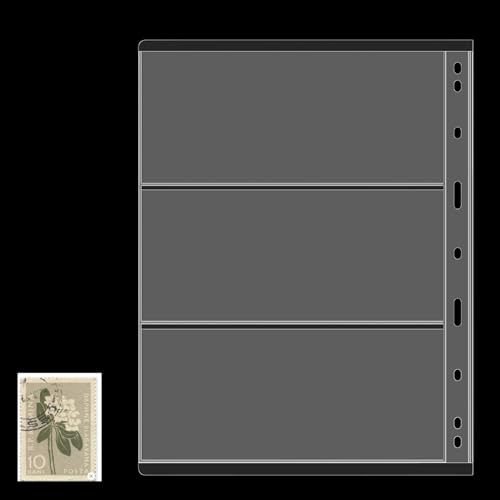 Kixolazr Papiergeld-Sammelalbum | Münzsammelalbum,Münzsammelbuch für Neujahrsgeschenke – tragbar und transparent für Briefmarken, Sammelkarten und Währung Kixolazr Papiergeld-Sammelalbum | Münzsammelalbum,Münzsammelbuch für Neujahrsgeschenke – tragbar und transparent für Briefmarken, Sammelkarten und Währung von Kixolazr