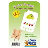 Erste Übungen - Früchte erkennen von Kölner Lernspielverlag