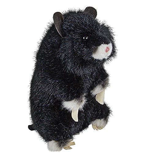 Kösener 7340 Feldhamster schwarz 18 cm Plüschhamster von Kösen