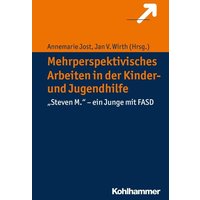 Mehrperspektivisches Arbeiten in der Kinder- und Jugendhilfe von Kohlhammer