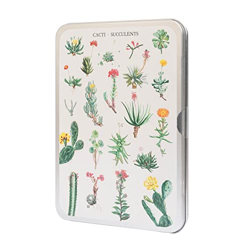 Kokonote Puzzle 100 Teile Botanical Cacti Puzzle - Größe : 25x15 cm - Puzzle mit metallischer Box Puzzle Erwachsene von Grupo Erik