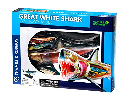 Thames & Kosmos , 261110, Great White Shark Anatomy Model, 20 Parts with Stand and Illustrated Guide Book, Nature Discovery Range, Detachable Parts, 3D Models, Ages 8+ von Thames & Kosmos