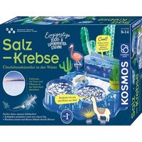 KOSMOS 633264 Salzkrebse - Überlebenskünstler in der Wüste - Experimentierkasten KOSMOS 633264 Salzkrebse - Überlebenskünstler in der Wüste - Experimentierkasten von Kosmos