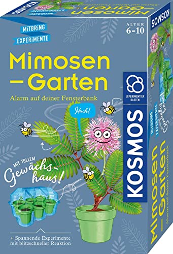 Kosmos 657802 Mimosen-Garten Pflanzen züchten und erforschen Komplett-Set mit Mini-Gewächshaus Experimentier-Set für Kinder ab 6 - 10 Jahre Mitbringexperiment teal/turquoise green von Kosmos