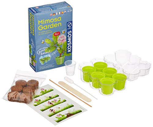 Kosmos 616809 Mimosa Garden - Mimosen Garten, Pflanzen züchten und erforschen Experimentier Set für Kinder mit mehrsprachiger Anleitung (DE, EN, FR, IT, ES, NL) Multicolor von Kosmos