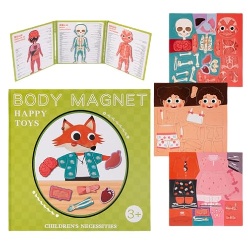 Krujecnt Anatomie-Puzzle für Kinder, Mein Körper-Puzzle | Magnetische Körperpuzzles für Kleinkinder,Vorschul-Anatomie-Puzzle-Kinderspielset, sicherheitspädagogisches Skelettspielzeug für den von Krujecnt